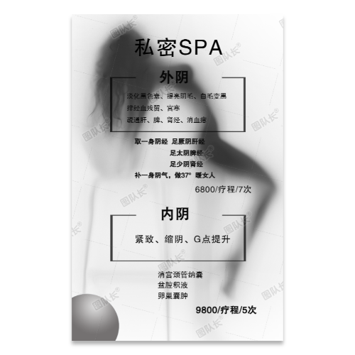 私密SPA海报模板