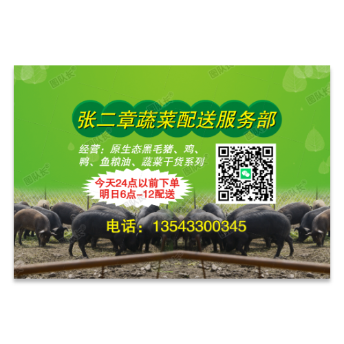 原生态黑毛猪肉广告模板