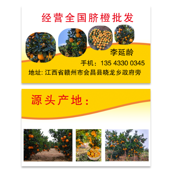 脐橙水果名片模版