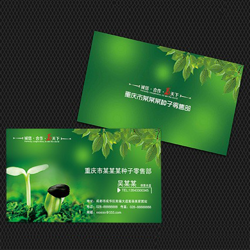种子名片模版