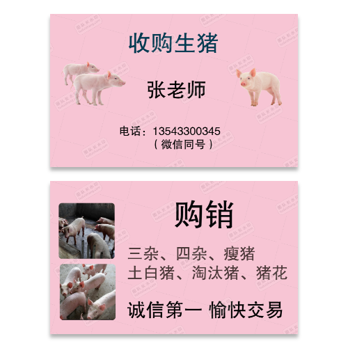 小猪仔名片模版
