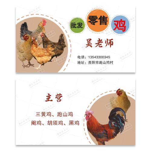 家禽鸡鸭鹅名片模版