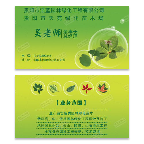 园林绿化苗木名片模版