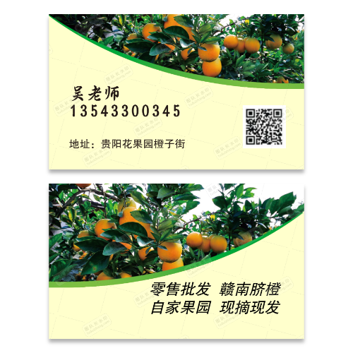 脐橙橙子名片模版