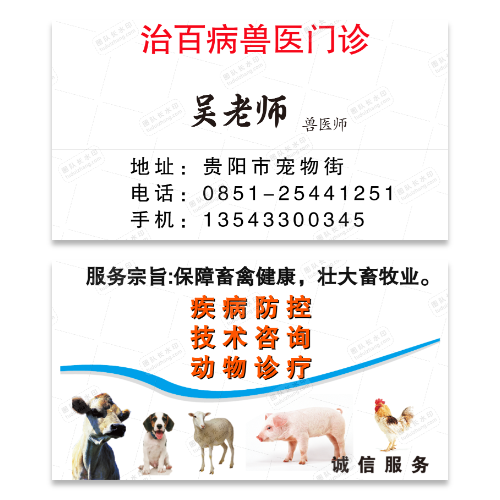兽医宠物医院名片模版