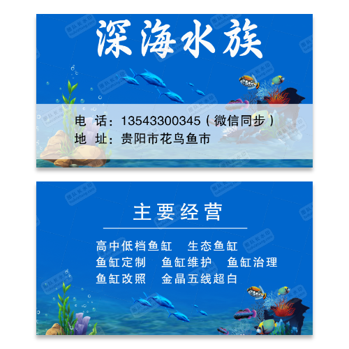 鱼缸观赏鱼苗名片模板
