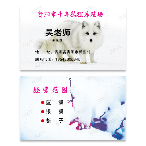 狐狸养殖名片模板
