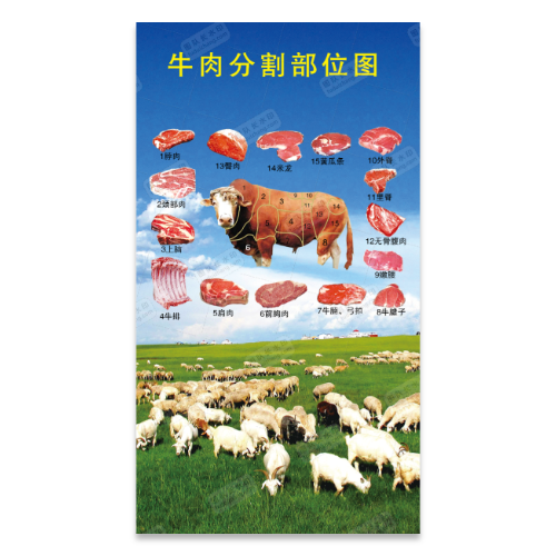 牛肉分割部位图海报模板