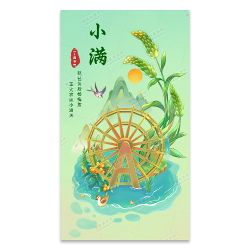 小满季节农业丰收水稻海报模板