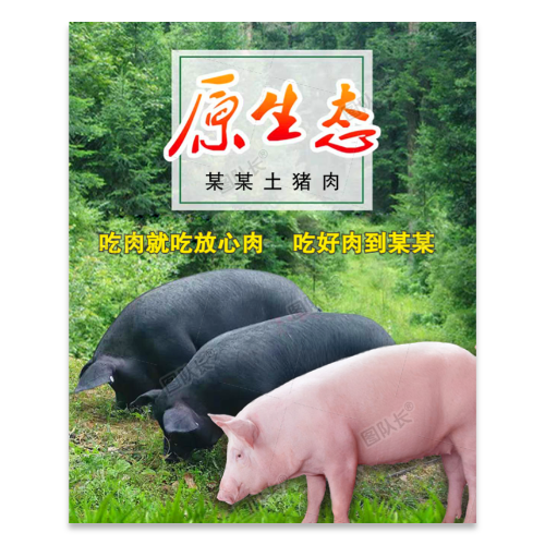 原生态土猪肉海报模板